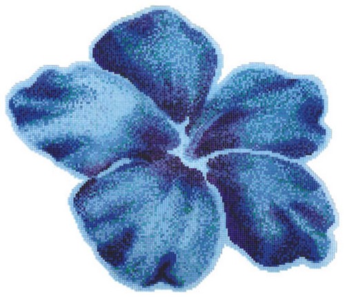 ����� �� �������